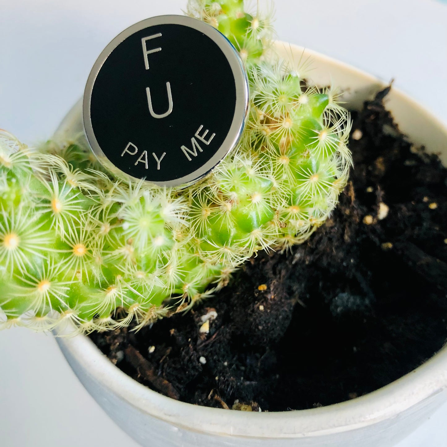 Épinglette FU Pay Me
